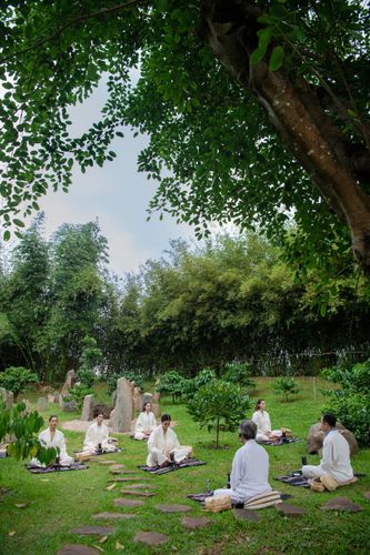 Vườn Zen/ Vườn thảo dược